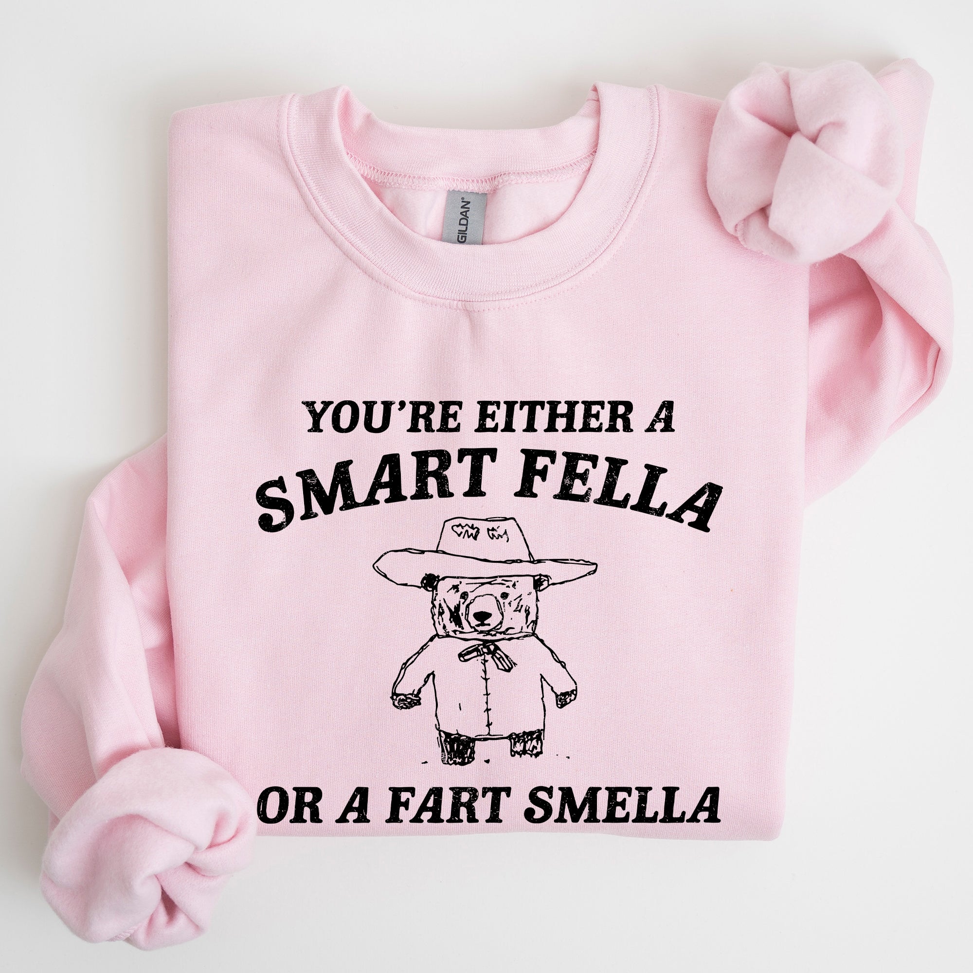 Smart Fella Fart Smeller Funny Bear Cartoon Character Whimsical Playful Bold Sweatshirt